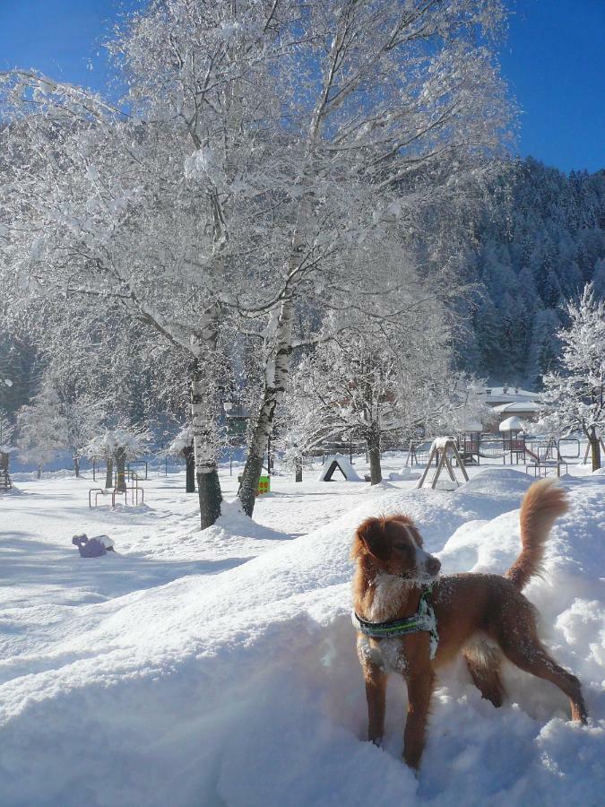 B&B Ca Dei Baroni Pellizzano Bagian luar foto